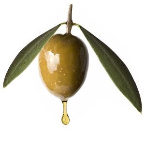 Olive Oil - Olea Europaea