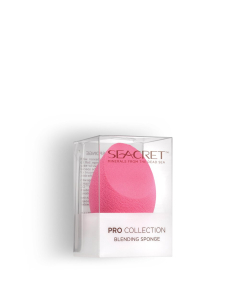 Pro Collection Blending Sponge