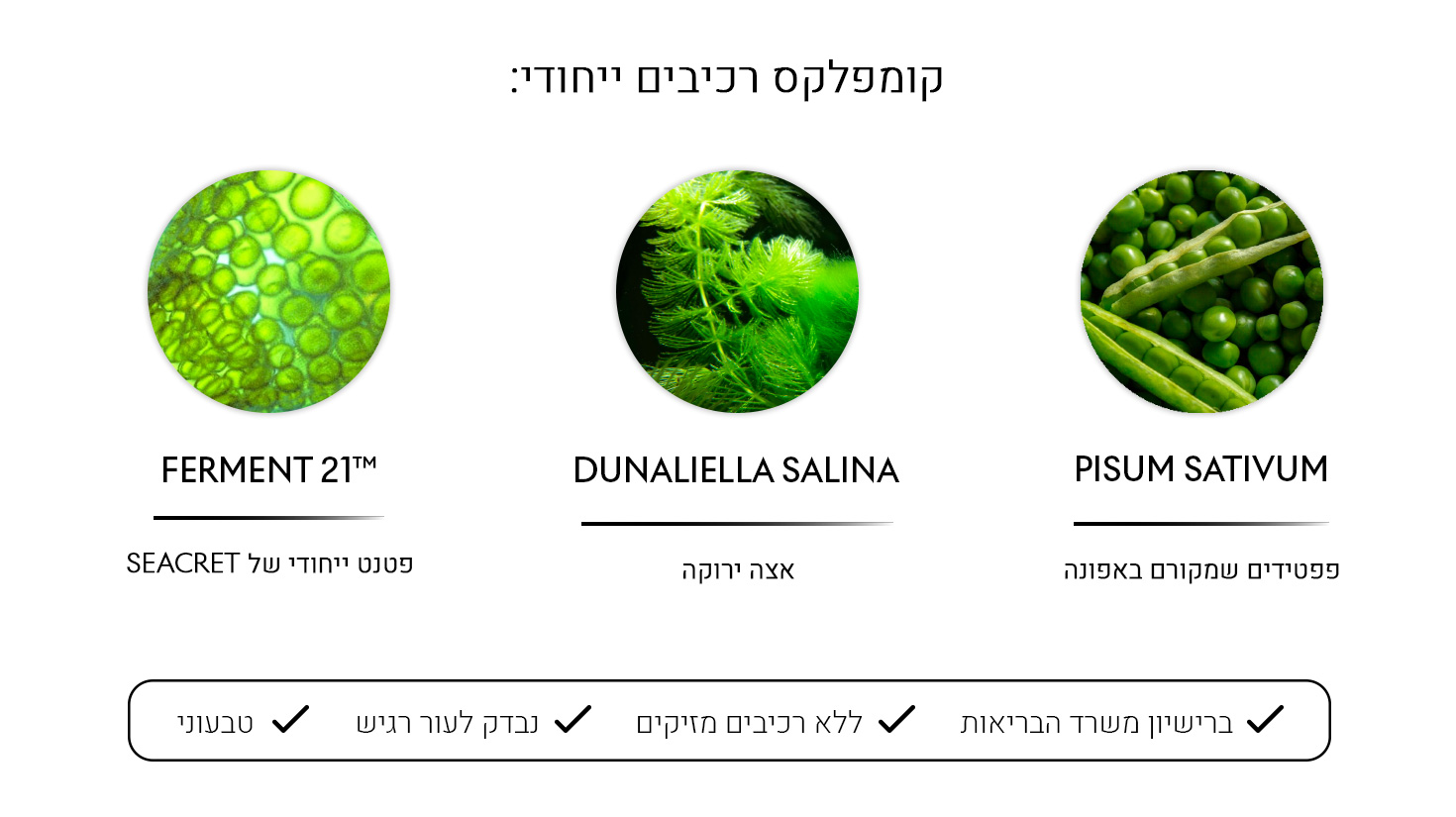 Advanced Radiance Cream Main Ingredients