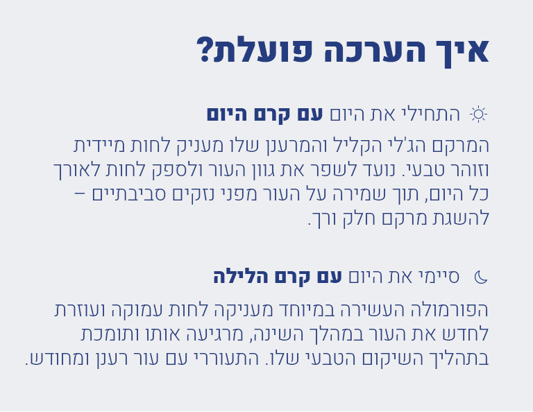 מה מכילה ערכת קרם יום וקרם לילה