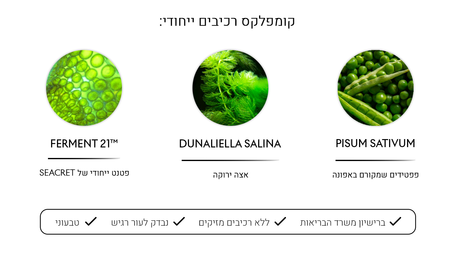 MA Ampule Serum Ingredients