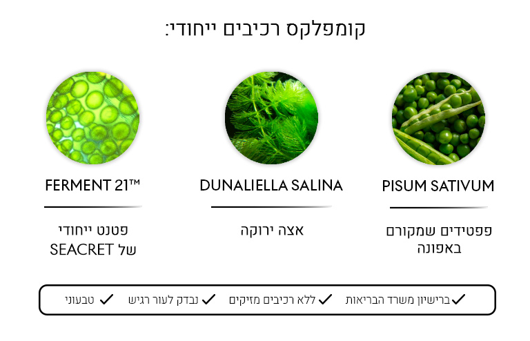 MA Ampule Serum Ingredients